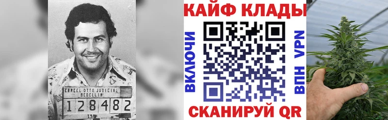 ГАШ Назрань