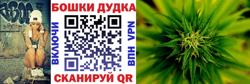 купить наркоту  Назрань  Каннабис план 